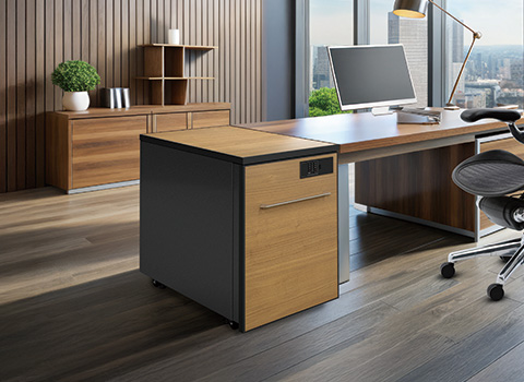 セキュテリアセーフ